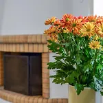 Daphne's Place - Private With Pool In Naxos Holiday home *